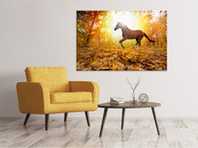 Laden Sie das Bild in den Galerie-Viewer, Leinwandbild Vollblut im Herbstwald