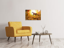 Laden Sie das Bild in den Galerie-Viewer, Leinwandbild Vollblut im Herbstwald
