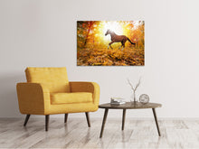 Laden Sie das Bild in den Galerie-Viewer, Leinwandbild Vollblut im Herbstwald
