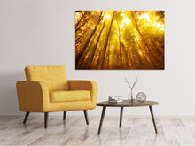 Laden Sie das Bild in den Galerie-Viewer, Leinwandbild Herbstwald