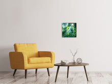 Laden Sie das Bild in den Galerie-Viewer, Leinwandbild Im Tropenwald