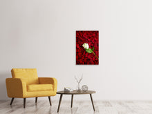 Laden Sie das Bild in den Galerie-Viewer, Leinwandbild Auf Rosen gebettet