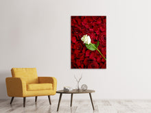 Laden Sie das Bild in den Galerie-Viewer, Leinwandbild Auf Rosen gebettet