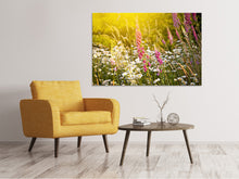 Laden Sie das Bild in den Galerie-Viewer, Leinwandbild Sommerliche Blumenwiese