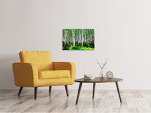 Laden Sie das Bild in den Galerie-Viewer, Leinwandbild Sommerlicher Birkenwald
