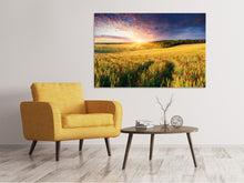 Laden Sie das Bild in den Galerie-Viewer, Leinwandbild Ein Blumenfeld bei Sonnenaufgang