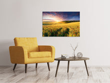 Laden Sie das Bild in den Galerie-Viewer, Leinwandbild Ein Blumenfeld bei Sonnenaufgang
