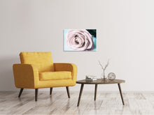 Laden Sie das Bild in den Galerie-Viewer, Leinwandbild Pastellrose