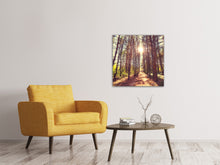 Laden Sie das Bild in den Galerie-Viewer, Leinwandbild Licht am Ende des Waldweges