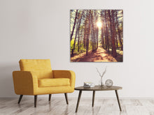 Laden Sie das Bild in den Galerie-Viewer, Leinwandbild Licht am Ende des Waldweges
