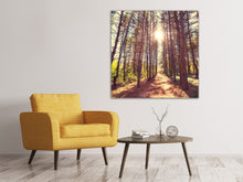 Laden Sie das Bild in den Galerie-Viewer, Leinwandbild Licht am Ende des Waldweges