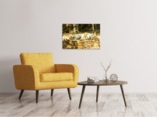 Laden Sie das Bild in den Galerie-Viewer, Leinwandbild Der Sibirische Tiger
