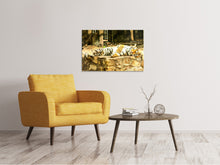 Laden Sie das Bild in den Galerie-Viewer, Leinwandbild Der Sibirische Tiger