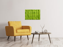 Laden Sie das Bild in den Galerie-Viewer, Leinwandbild Bambuswand