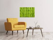 Laden Sie das Bild in den Galerie-Viewer, Leinwandbild Bambuswand