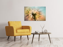 Laden Sie das Bild in den Galerie-Viewer, Leinwandbild XXL Pusteblume