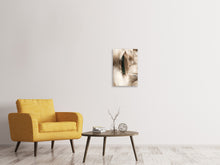 Laden Sie das Bild in den Galerie-Viewer, Leinwandbild Federn