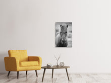 Laden Sie das Bild in den Galerie-Viewer, Leinwandbild Da Steht Ein Pferd Auf`m Flur