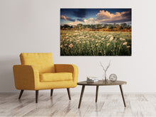 Laden Sie das Bild in den Galerie-Viewer, Leinwandbild Die Wiesenmargerite am Fluss