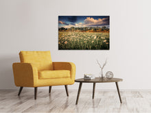 Laden Sie das Bild in den Galerie-Viewer, Leinwandbild Die Wiesenmargerite am Fluss