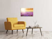 Laden Sie das Bild in den Galerie-Viewer, Leinwandbild Sonnenuntergang beim Lavendelfeld