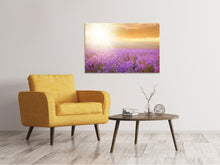 Laden Sie das Bild in den Galerie-Viewer, Leinwandbild Sonnenuntergang beim Lavendelfeld