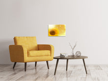 Laden Sie das Bild in den Galerie-Viewer, Leinwandbild Sonnenblume im Morgentau