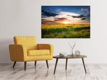 Laden Sie das Bild in den Galerie-Viewer, Leinwandbild Ein Feld von Sonnenblumen