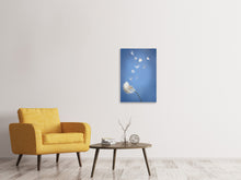 Laden Sie das Bild in den Galerie-Viewer, Leinwandbild Pusteblume XL