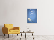 Laden Sie das Bild in den Galerie-Viewer, Leinwandbild Pusteblume XL