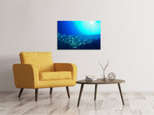 Laden Sie das Bild in den Galerie-Viewer, Leinwandbild Fischschwarm