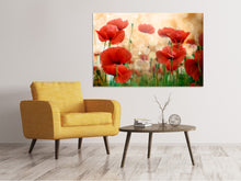 Laden Sie das Bild in den Galerie-Viewer, Leinwandbild Der Klatschmohn
