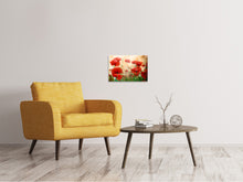 Laden Sie das Bild in den Galerie-Viewer, Leinwandbild Der Klatschmohn