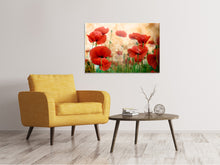 Laden Sie das Bild in den Galerie-Viewer, Leinwandbild Der Klatschmohn