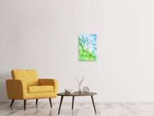 Laden Sie das Bild in den Galerie-Viewer, Leinwandbild Makroaufnahme Pusteblume