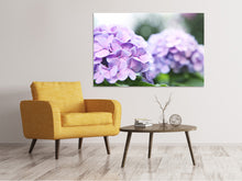 Laden Sie das Bild in den Galerie-Viewer, Leinwandbild Hortensien
