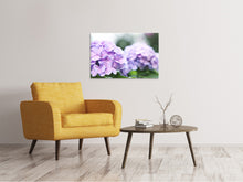 Laden Sie das Bild in den Galerie-Viewer, Leinwandbild Hortensien