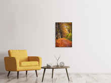 Laden Sie das Bild in den Galerie-Viewer, Leinwandbild Laubwald im Herbstlicht