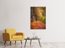Laden Sie das Bild in den Galerie-Viewer, Leinwandbild Laubwald im Herbstlicht