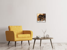 Laden Sie das Bild in den Galerie-Viewer, Leinwandbild Black Beauty