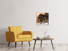 Laden Sie das Bild in den Galerie-Viewer, Leinwandbild Black Beauty
