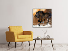 Laden Sie das Bild in den Galerie-Viewer, Leinwandbild Black Beauty