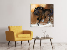 Laden Sie das Bild in den Galerie-Viewer, Leinwandbild Black Beauty