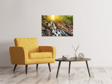 Laden Sie das Bild in den Galerie-Viewer, Leinwandbild Naturschönheit