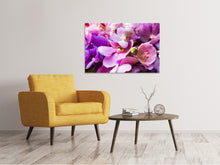 Laden Sie das Bild in den Galerie-Viewer, Leinwandbild Im Orchideenparadies