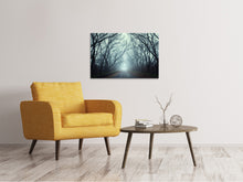 Laden Sie das Bild in den Galerie-Viewer, Leinwandbild Nebelwald