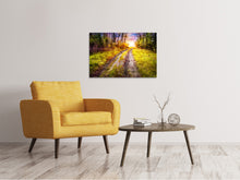 Laden Sie das Bild in den Galerie-Viewer, Leinwandbild Der Waldpfad
