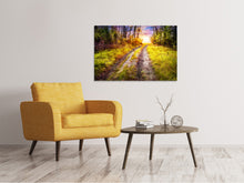 Laden Sie das Bild in den Galerie-Viewer, Leinwandbild Der Waldpfad