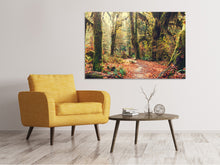 Laden Sie das Bild in den Galerie-Viewer, Leinwandbild Feenwald