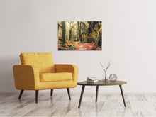 Laden Sie das Bild in den Galerie-Viewer, Leinwandbild Feenwald